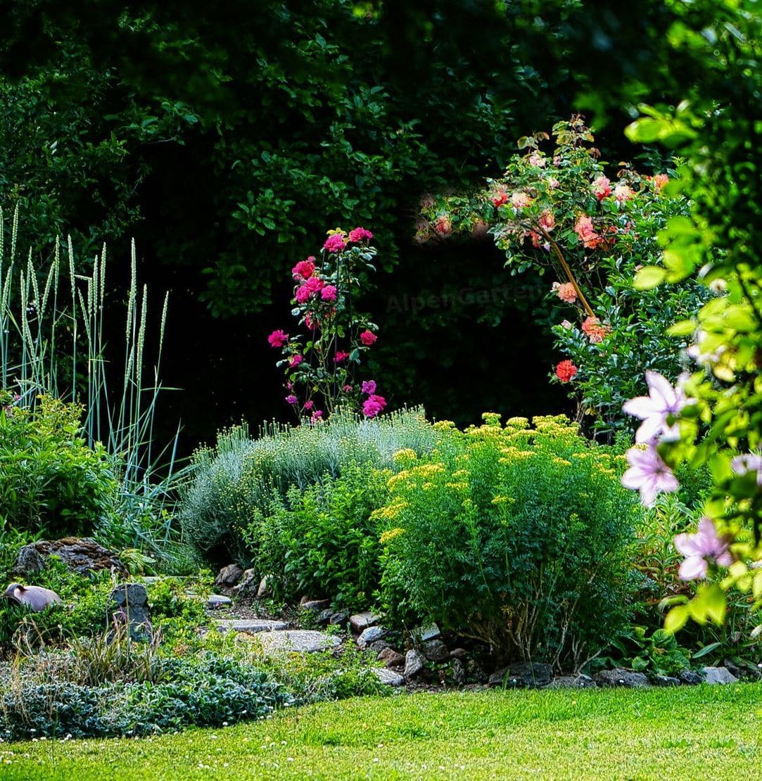 AlpenGarten 11